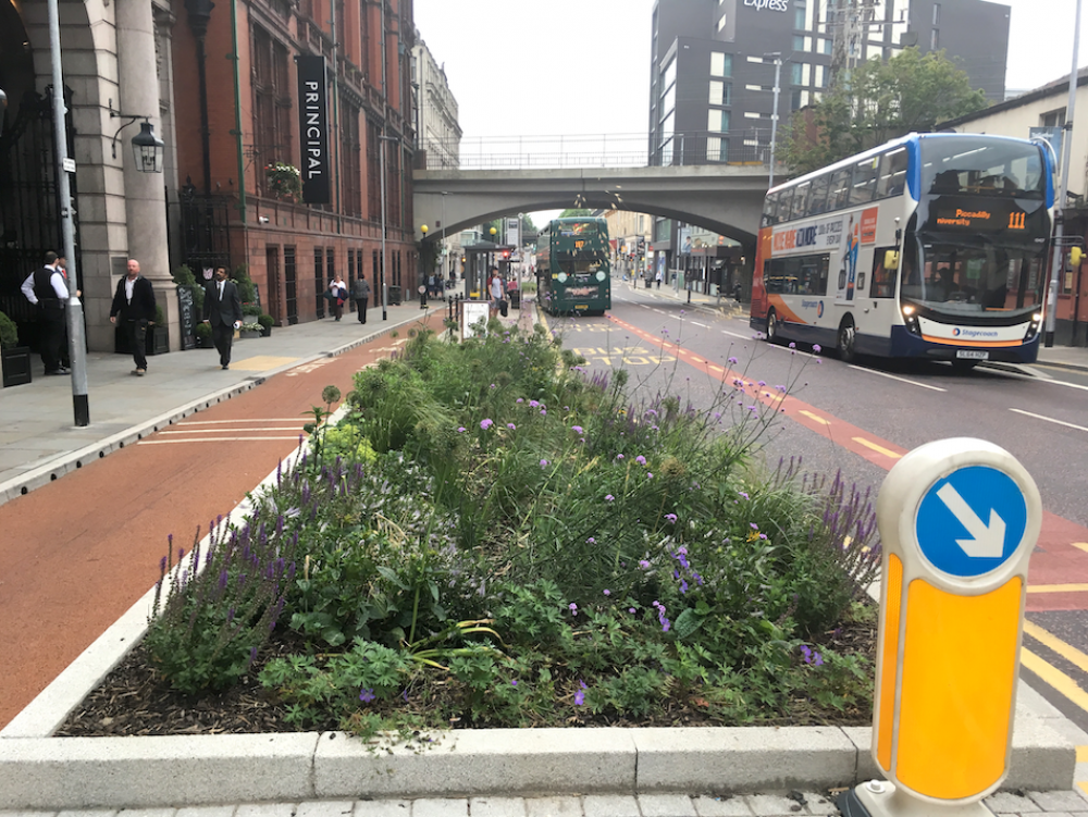 greening grey infrastructure, London (image courtesy Larissa Naylor, University of Glasgow)