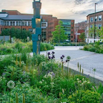 Sheffield Grey to Green (image courtesy of Nigel Dunnett)